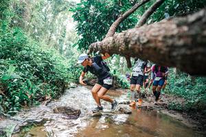 BIB: 
                            <button type="button" onclick="openModal(25375512)" class="btn btn-primary btn-sm float-right btn-popup" data-toggle="modal" data-target=".modal-high-quality">
                        <i class="fas fa-shopping-cart"></i> Add to Cart
                    </button>
                                            <button type="button" onclick="isThisMe(25375512, true)" class="btn btn-success btn-sm float-right btn-popup btn-isme hidden" data-toggle="tooltip" data-placement="bottom" title="นี่คือรูปของคุณใช่ไหม คลิกที่นี่เพื่อเอาเข้าอัลบั้ม">
                        <i class="fas fa-plus"></i> Add to album
                    </button>
                    <button type="button" onclick="isThisMe(25375512, false)" class="btn btn-warning btn-sm float-right btn-popup btn-isnotme hidden">
                        <i class="fas fa-ban"></i> Remove from album
                    </button>